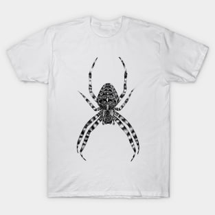 Garden spider T-Shirt